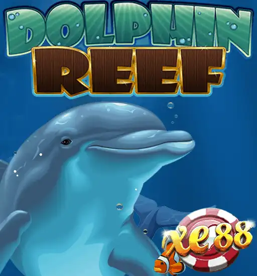 DolphinReef