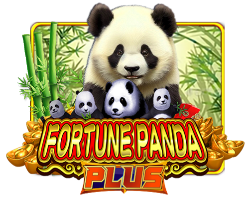 Fortune Panda PLUS