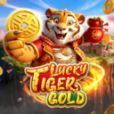 Lucky Tiger Gold