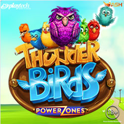 Power Zones: Thunder Birds